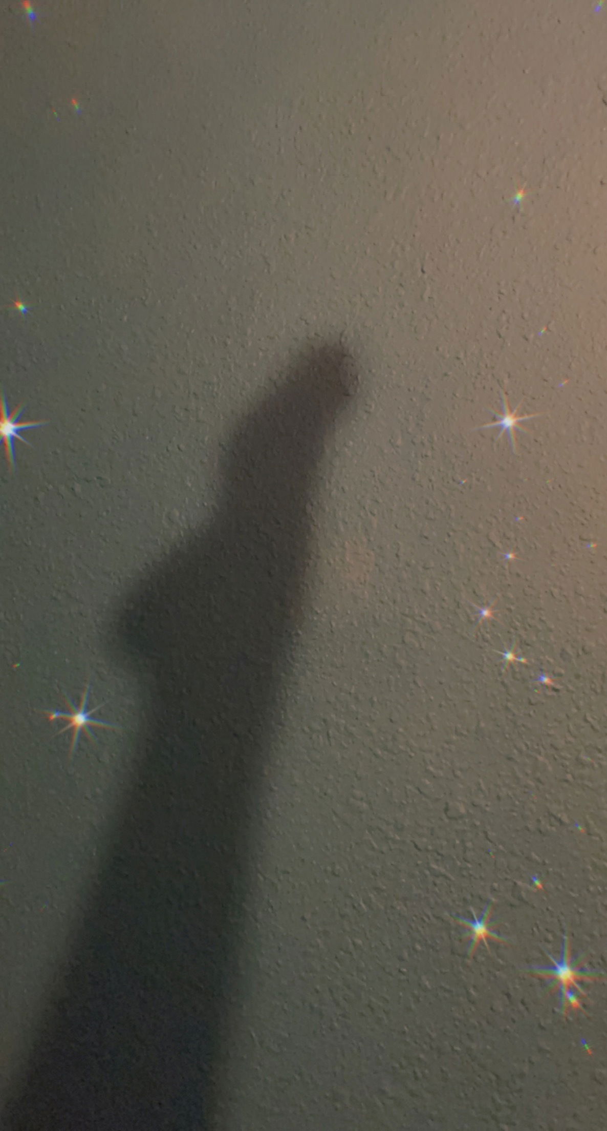 Alejandra Saavedra photo