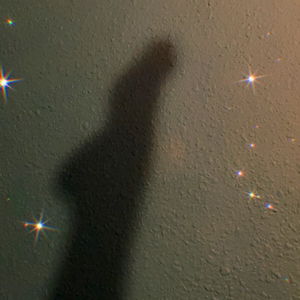 Alejandra Saavedra photo