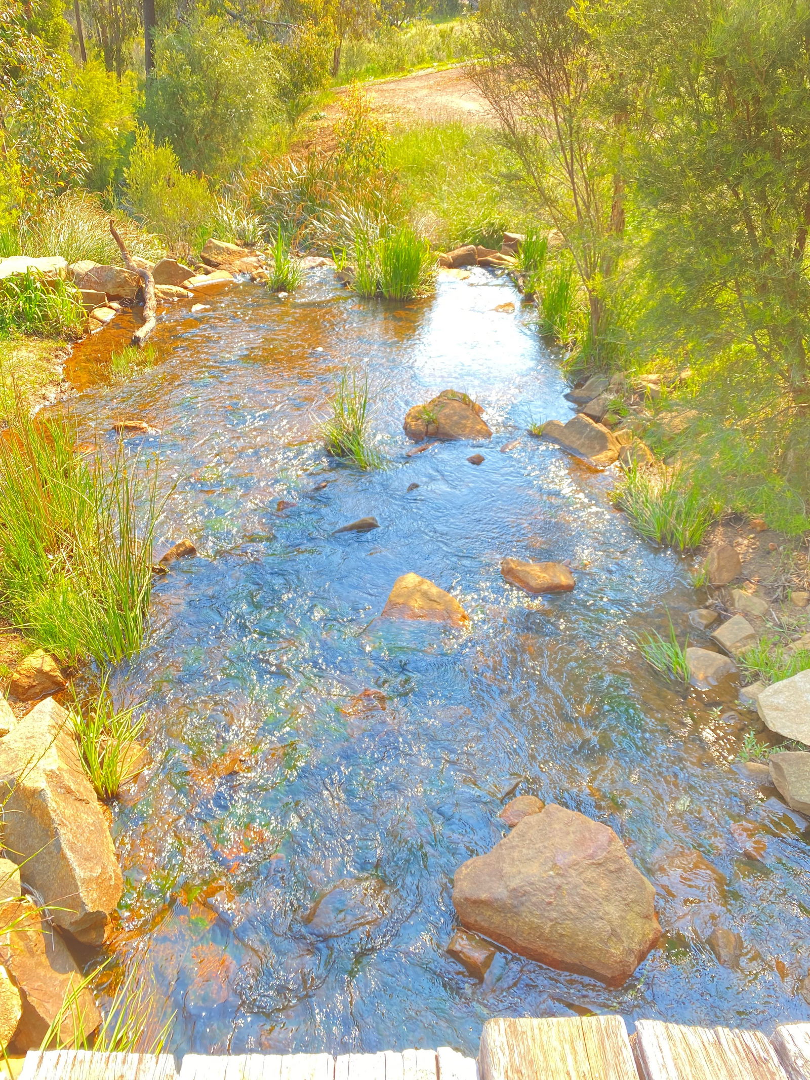 Ang3l ❣️Bab31 photo