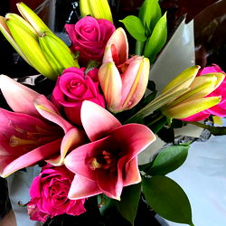 Pink Bouquet of Flowers