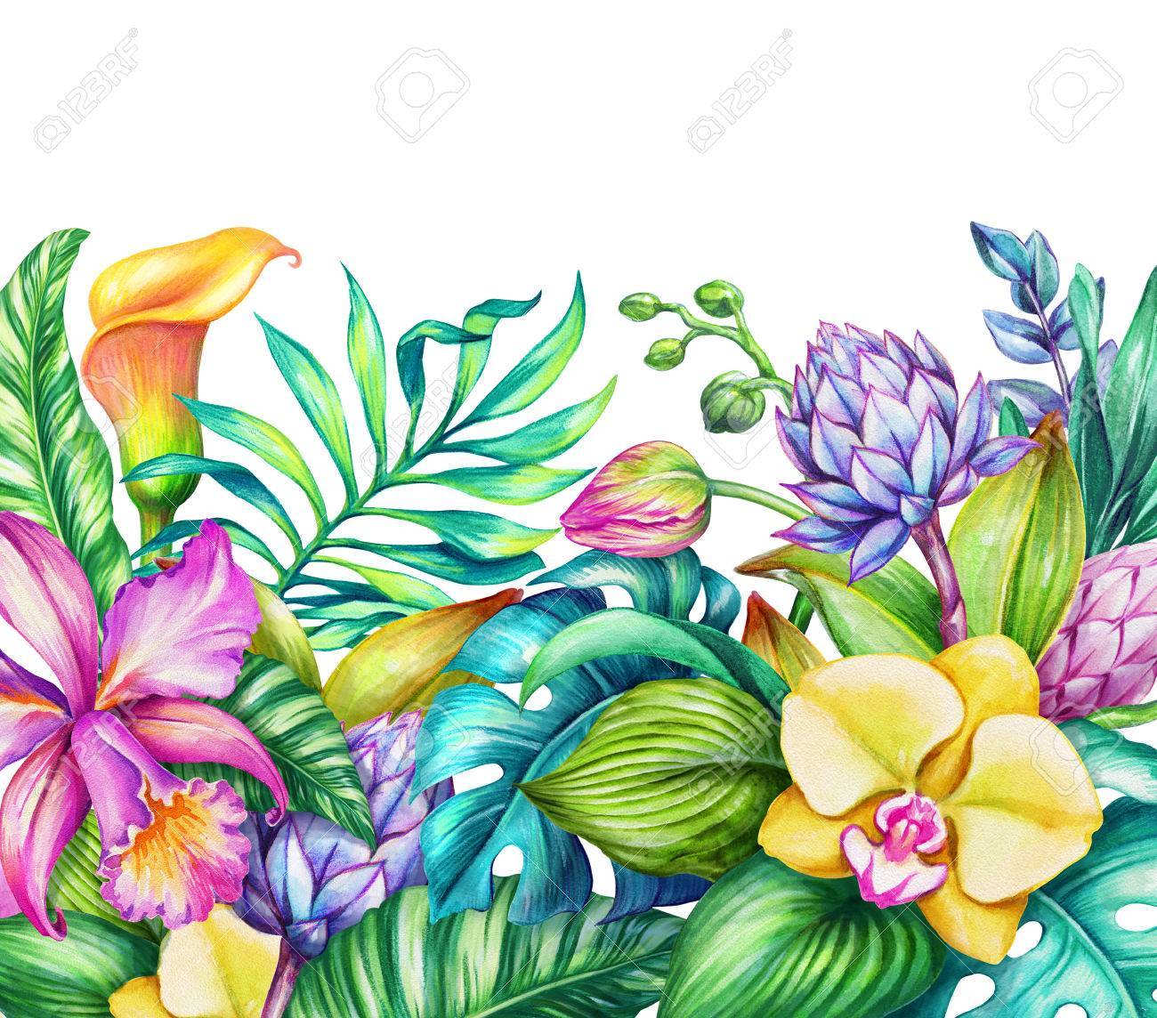 Morgan Paradise photo