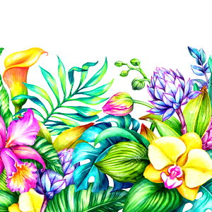 Morgan Paradise photo