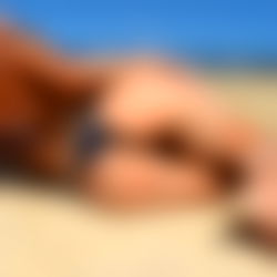 ๐ต๐๐๐๐๐๐ ๐ต๐๐๐๐ ๐ฆ ๐ฝ๐๐๐๐๐ photo