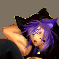 Jayce, a Purrfectly Cool Feline