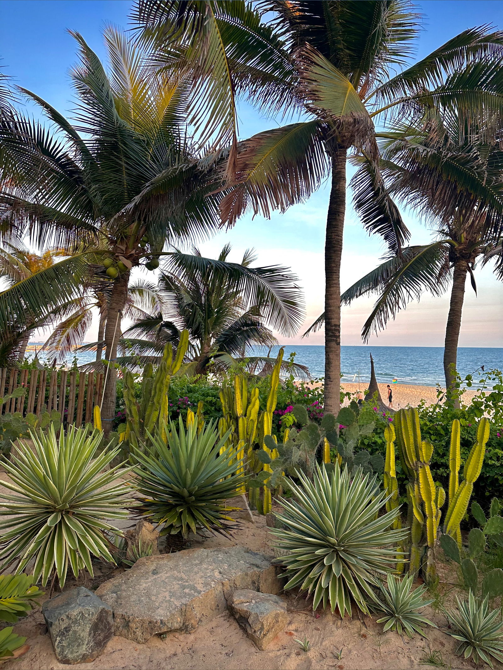 JastonWorld™ Free ⭐️ photo