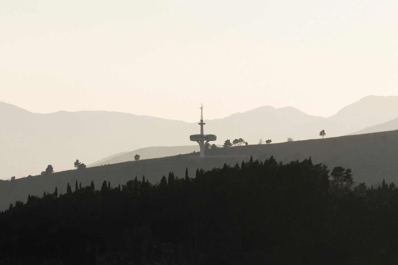 Aleksandar Šeter photo