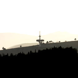 Aleksandar Šeter photo