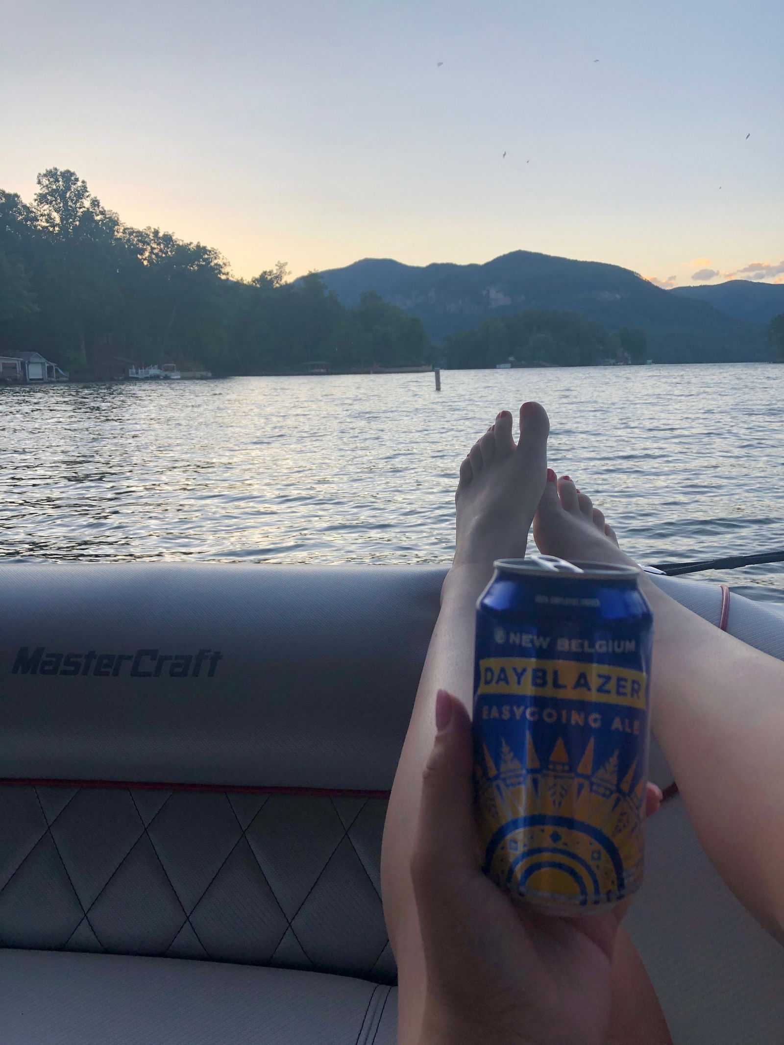 Tennesseetoess photo