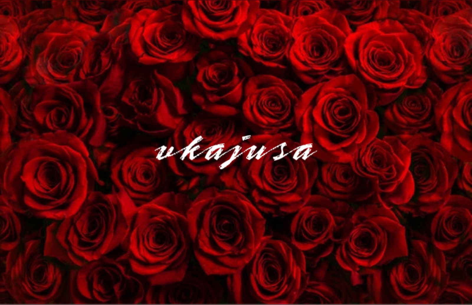 𝓥𝓚𝓐𝓙𝓤𝓢𝓐⭐️ photo