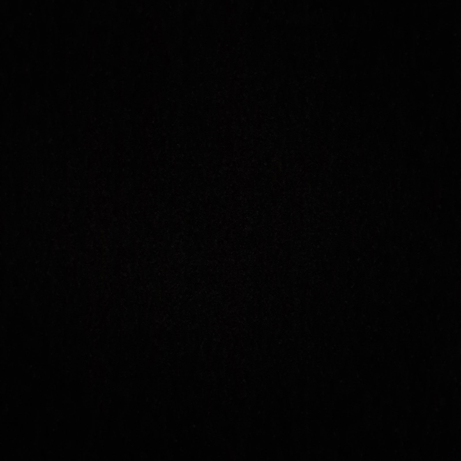 Alicia Melissa photo