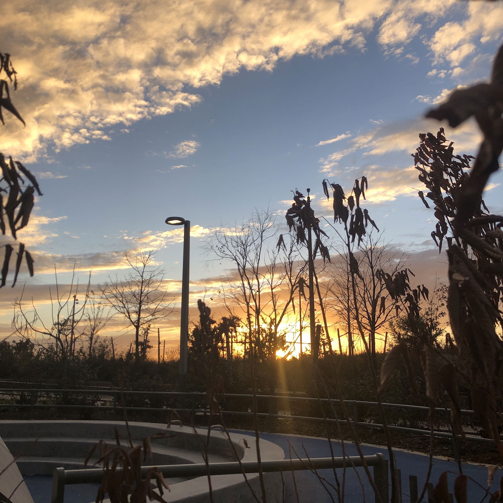 Ander Alejandro photo