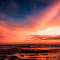 🦋 Assistant Jill 🦋 photo