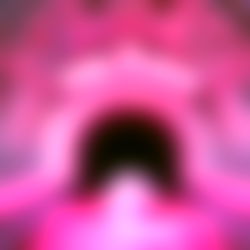 Softbat the Squishmallow photo