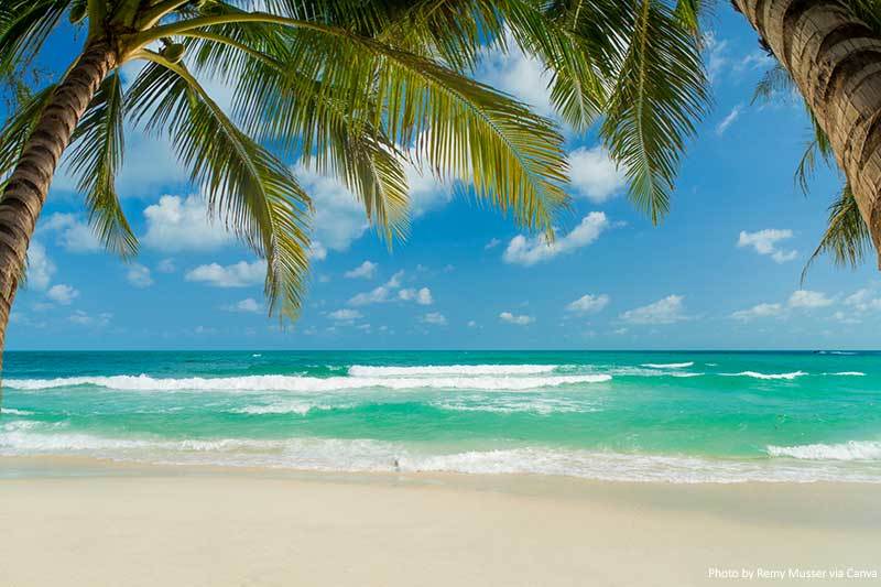 🌈 LatinaSpice✨ photo