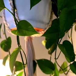 Juice Box ๐ง photo