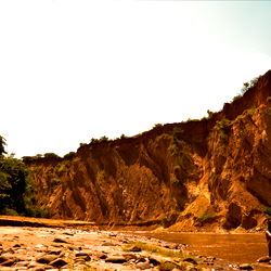 SNAKE FOXY🌈🌿 photo