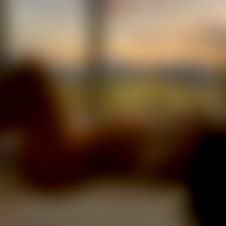 l i t t l e s w e e t i e photo