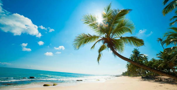 Andy Fer - Vip photo