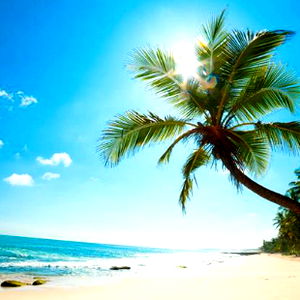 Andy Fer - Vip photo