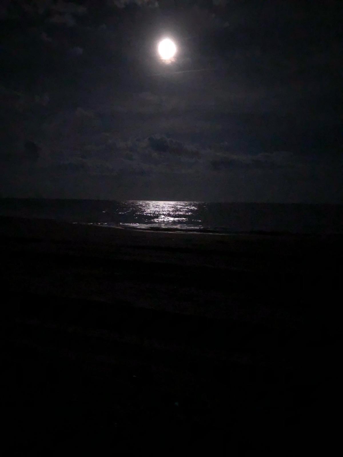 Crazybitch2020 photo