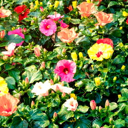 Devin Bloom ๐บ photo