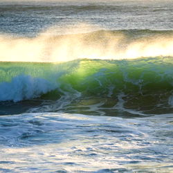 Jimmy ๐ฆ๐บ photo