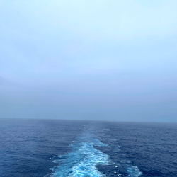 Sammy, a model from Always with you