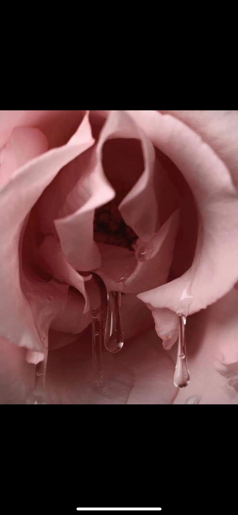 💋𝓁𝒾𝓁𝓈𝓉𝒶𝒸 💋 photo