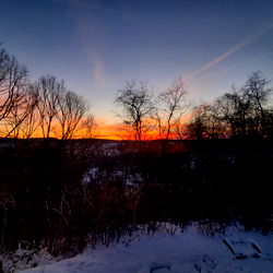 Courtney Bishop photo