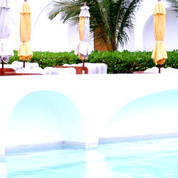 Vibrant Poolside Scene