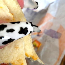 Model Photo: BabyGirlNails