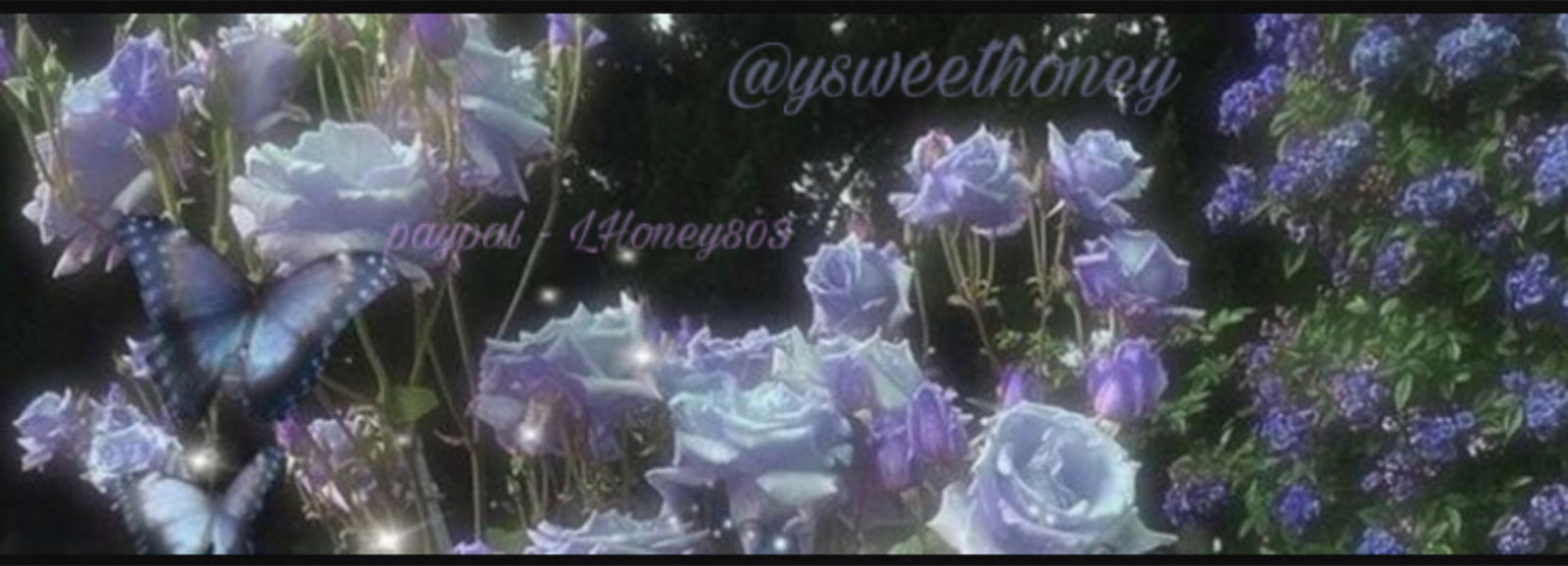 ˚⟡₊˚౨𝒀𝑺𝒘𝒆𝒆𝒕𝒉𝒐𝒏𝒆𝒚ৎ˚⟡₊☠︎︎˚ photo