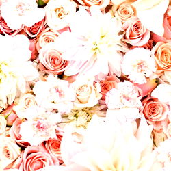 ❤️Babygirl❤️ photo