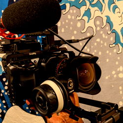 Cinematographer in Action