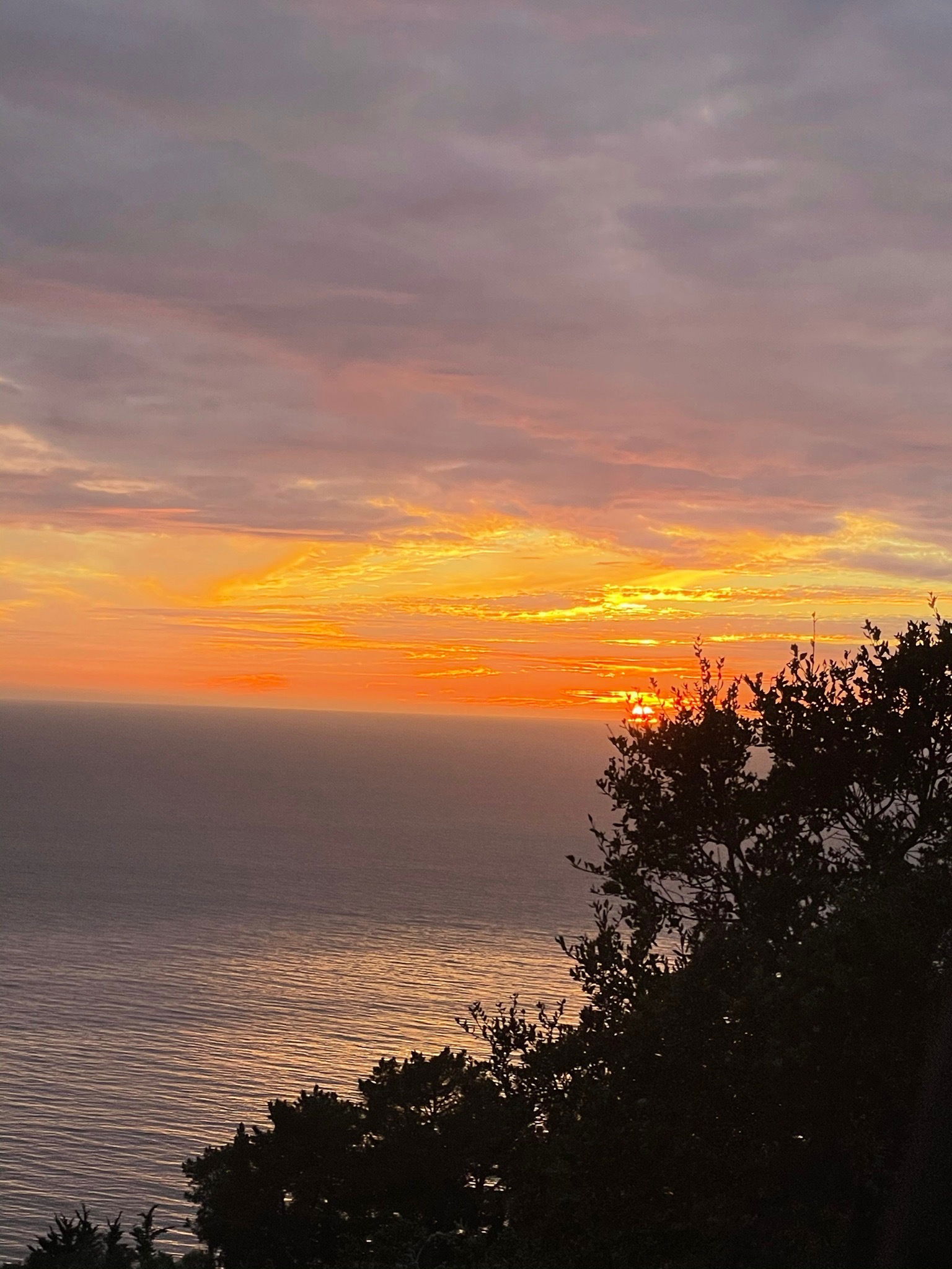 your new babygirl photo