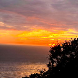 your new babygirl photo