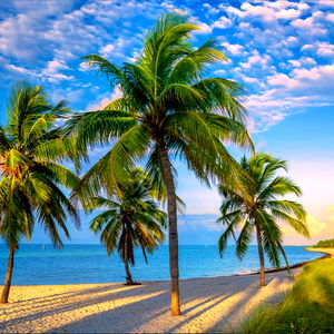 โจ Perfect Body Adrianna โจ photo