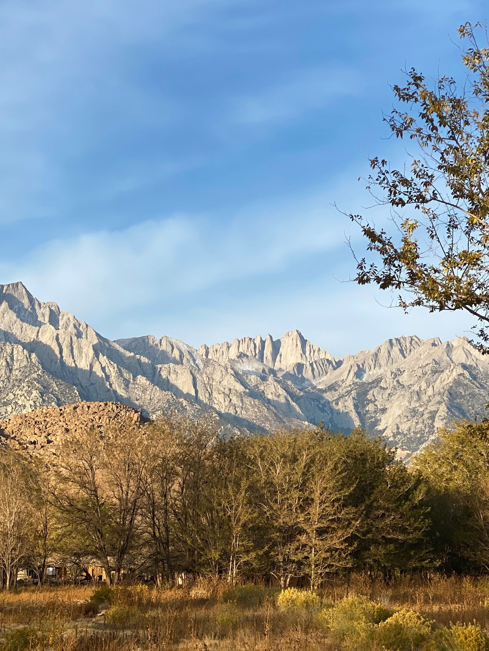 Bettie Bondage photo