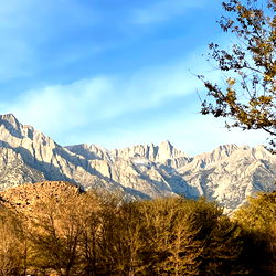Bettie Bondage photo