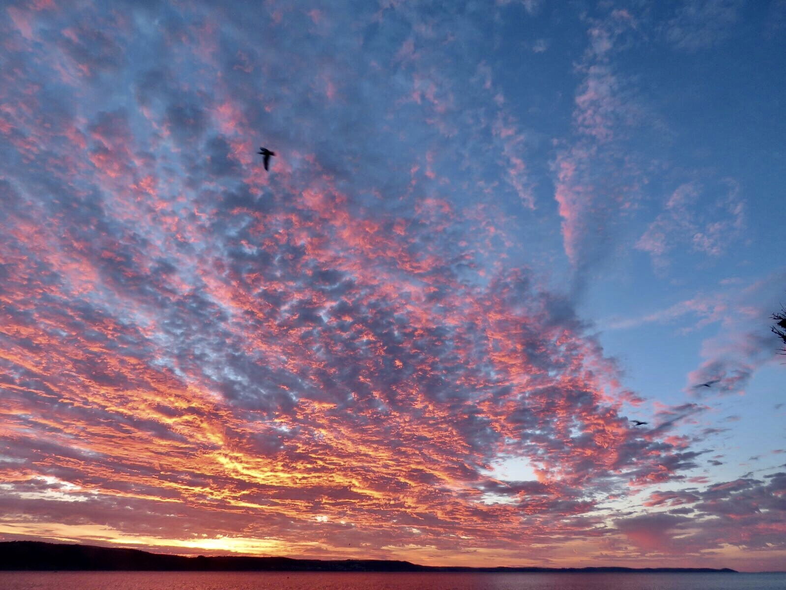 Daisy Hall ☀️🌈💖 photo