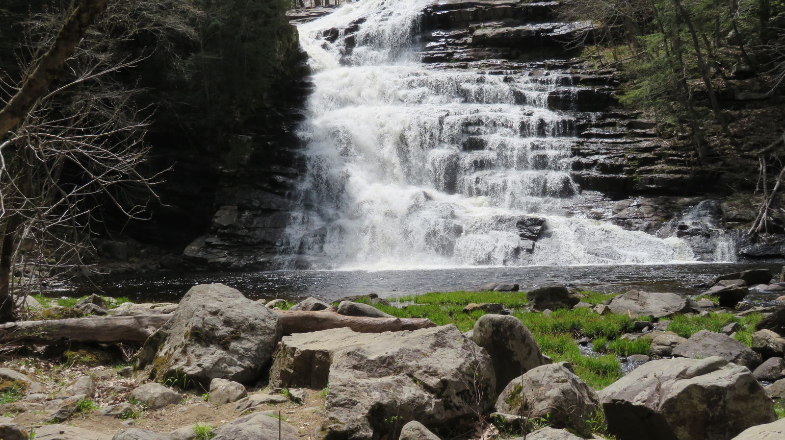 Modernnakedguy photo