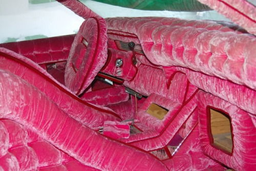 Abandoned Neopet photo