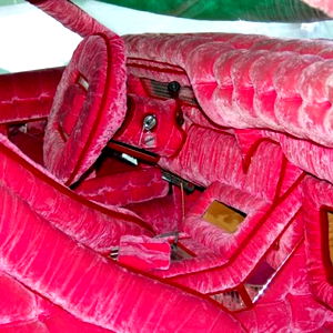 Abandoned Neopet photo