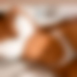 Aghata (Vc - Sexting) photo