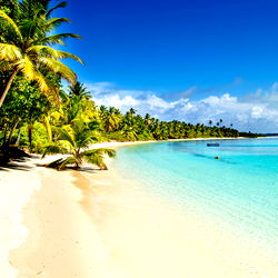 Serene Beach Escape with Rol