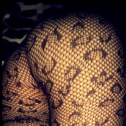 Onlyfans Model Photoshoot