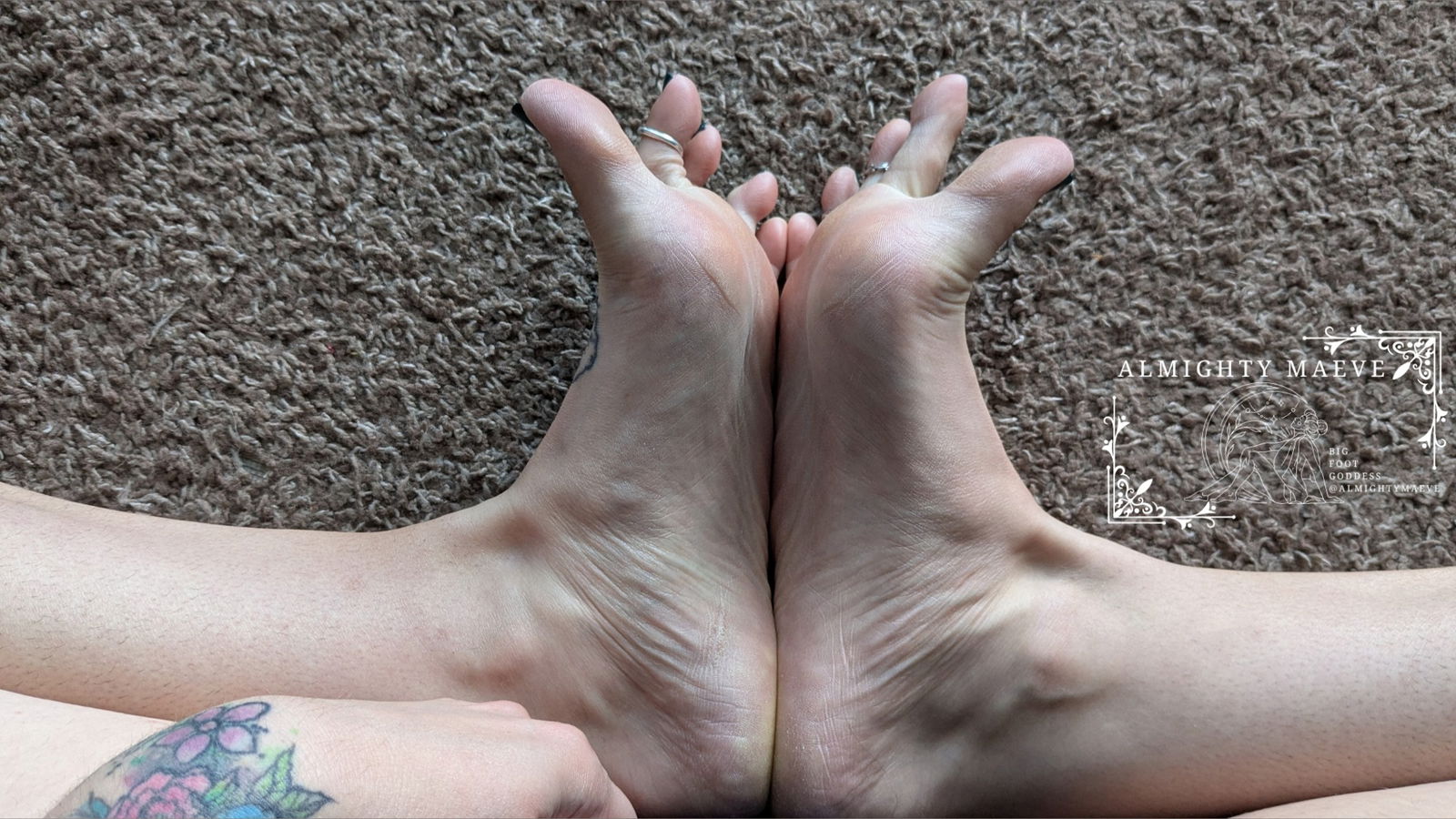 Almighty Maeve photo