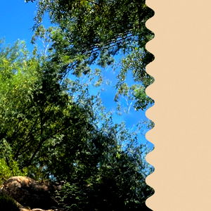 Olivia Eden ๐ง photo