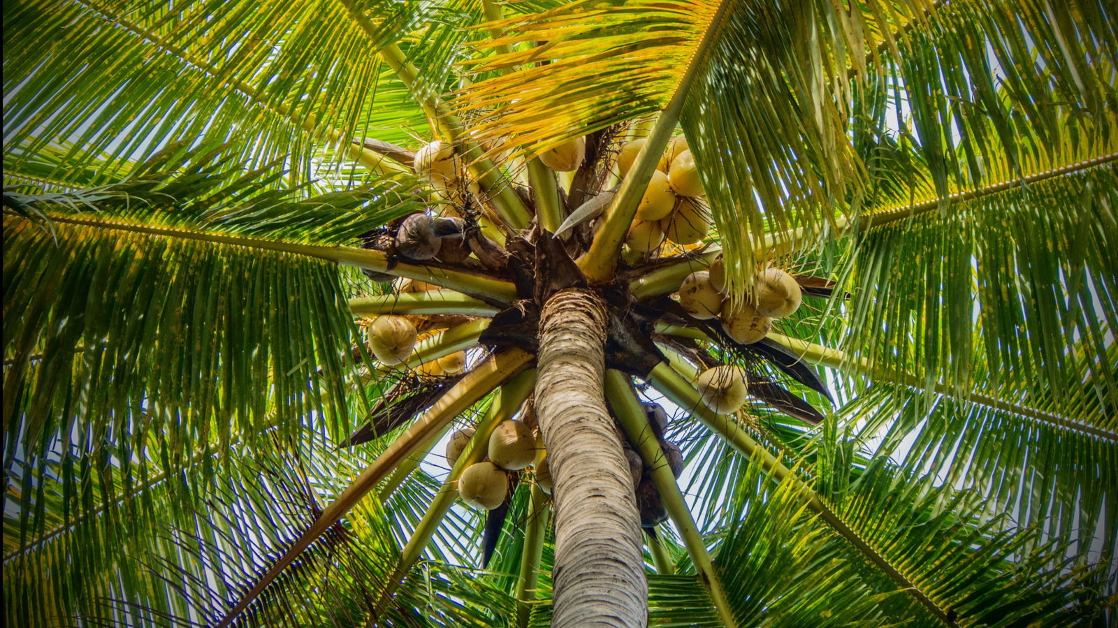 Eros Mezzanotte photo