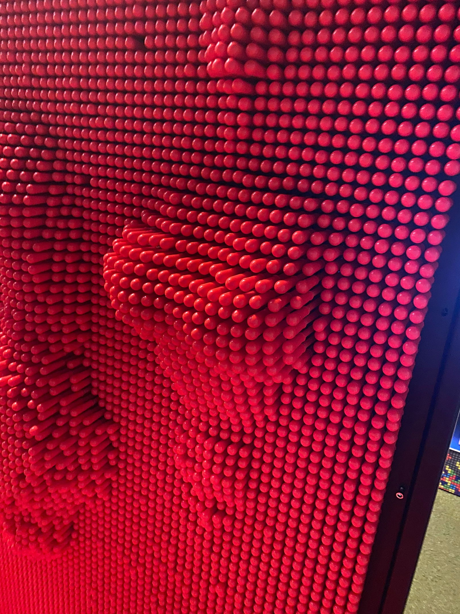 Dani in the Pink photo